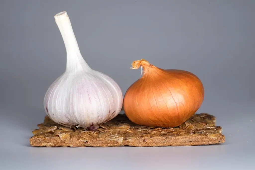 Close-up image of a garlic bulb and an onion placed on a crispbread. These foods are harmful to dogs and can cause toxicity if ingested, highlighting the importance of keeping them away from pets.
